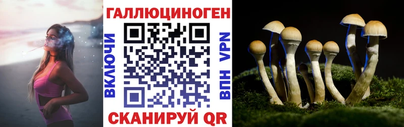 Псилоцибиновые грибы GOLDEN TEACHER  магазин продажи   Игра 